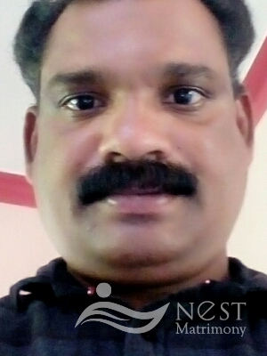 SHIJU STEPHEN